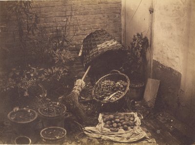 [Nature morte avec paniers de paille, balai, sac de pommes de terre ouvert et plantes en pot]. - Henri Victor Regnault