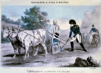 Napoléon Ier à Sainte-Hélène : l