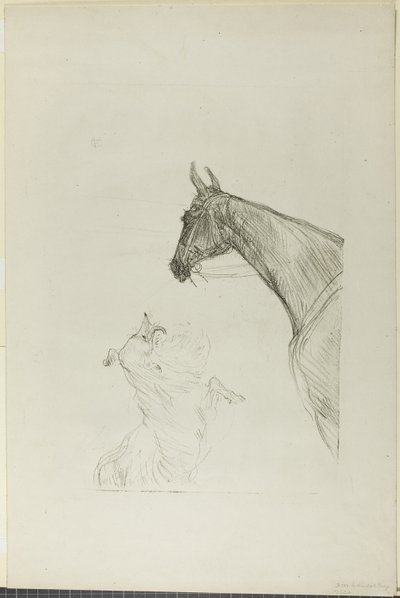 Cheval et colley - Henri de Toulouse Lautrec