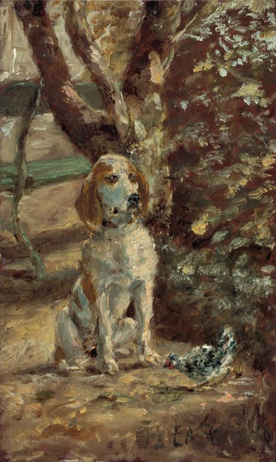 Le chien de l