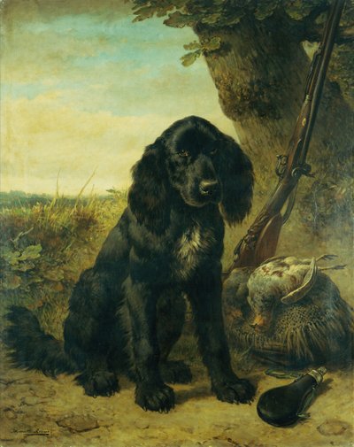 Un Retriever à Poil Plat près d
