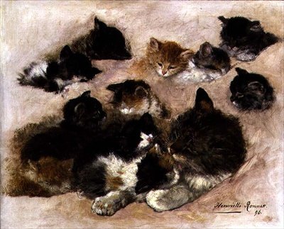 Étude de chats et chatons - Henriëtte Ronner Knip