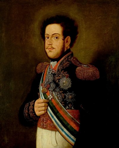 Portrait de D. Pedro I - Henrique Jose da Silva