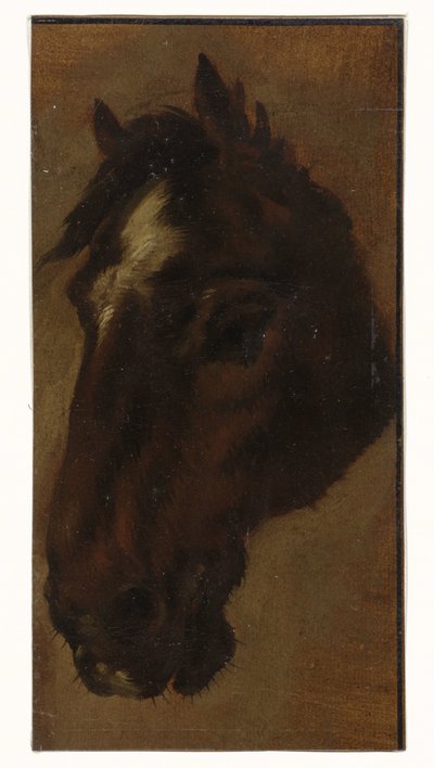 Tête de cheval - Henriëtte Ronner