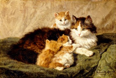 Contentement, 1900 - Henriëtte Ronner Knip