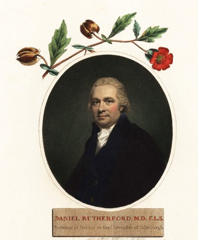 Portrait de Daniel Rutherford, botaniste (gravure) - Henry (after) Raeburn