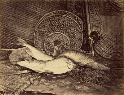 Nature morte à la carpe et au brochet - Henry Bailey