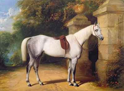 Un cheval gris près des portes du parc, 1851 - Henry Barraud