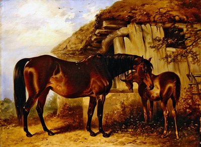 Jument et poulain - Henry Barraud