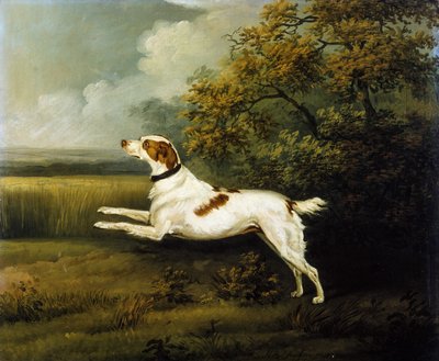 Un épagneul springer dans un paysage - Henry Bernard Chalon