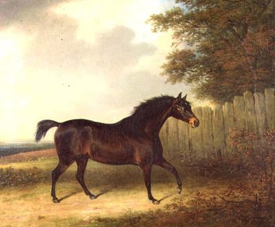 Un étalon bai foncé dans un paysage - Henry Bernard Chalon