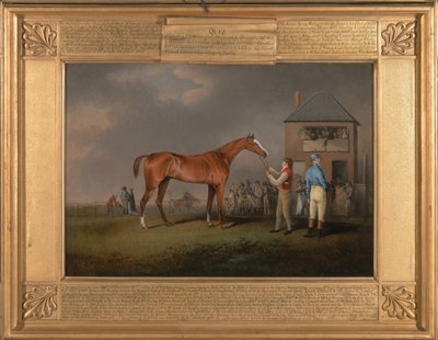 Quiz, après sa dernière course à Newmarket - Henry Bernard Chalon