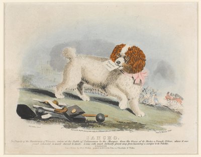 Sancho, Bataille de Salamanque, 1812 - Henry Bernard Chalon