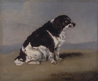 Le chien de la duchesse d