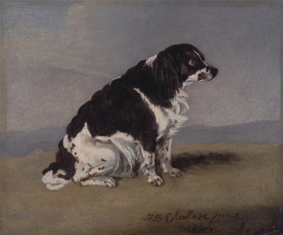 Le chien de la duchesse d