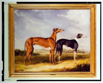 Deux lévriers, propriété du Dr. Edmund Taylor de Booth Hall - Henry Calvert