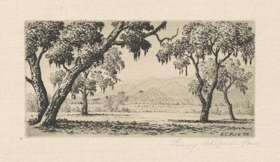 Paysage de Californie - Henry Chapman Ford