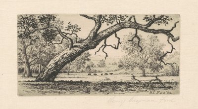 Paysage de Californie, 1888 - Henry Chapman Ford