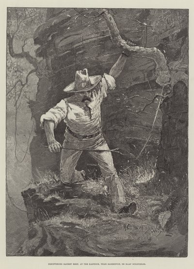 Découverte du Banket Reef, au Kantoor, près de Barberton, De Kaap Goldfields - Henry Charles Seppings Wright