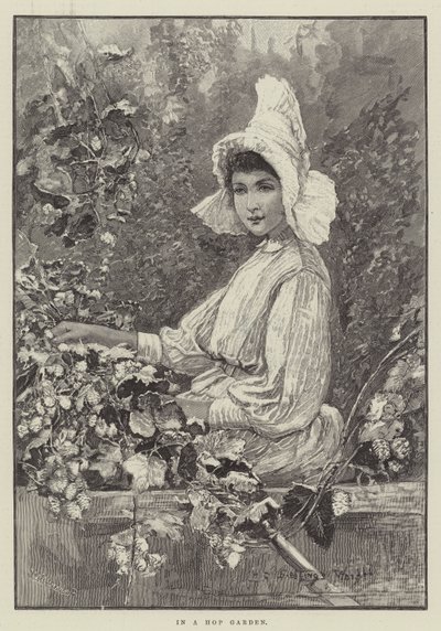 Dans un jardin de houblon - Henry Charles Seppings Wright