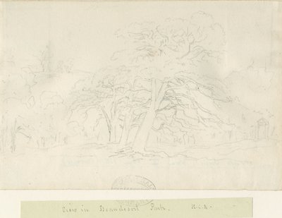 Parc de Beaudesert : dessin au crayon, nd [1788-1855] - Henry Curzon Allport