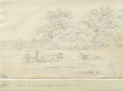 Lichfield - Vue depuis Aldershaw - Henry Curzon Allport