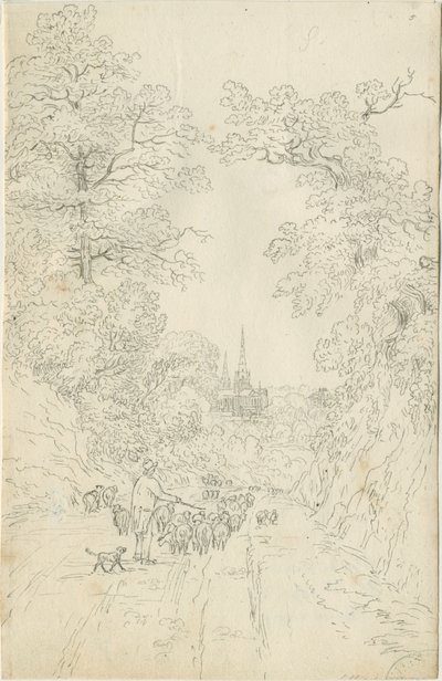 Cathédrale de Lichfield - Vue Sud-Est - Henry Curzon Allport