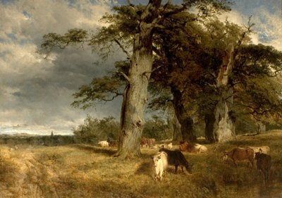 Paysage dans les Dukeries, Nottinghamshire, 1850 - Henry Dawson