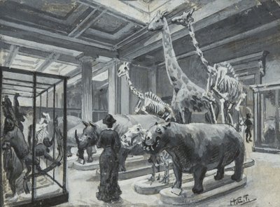 Vue intérieure du British Museum montrant la galerie contenant des expositions d