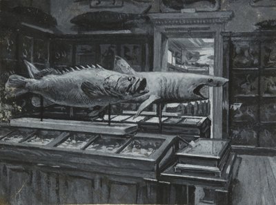 Vue intérieure du Musée britannique montrant la galerie des expositions de poissons, vers 1880 - Henry Edward Tidmarsh