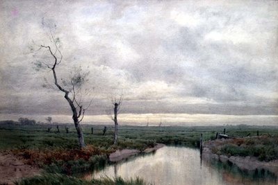 Marais côtiers - Henry Farrer