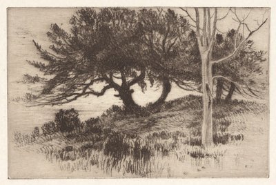 Près de la mer - Henry Farrer