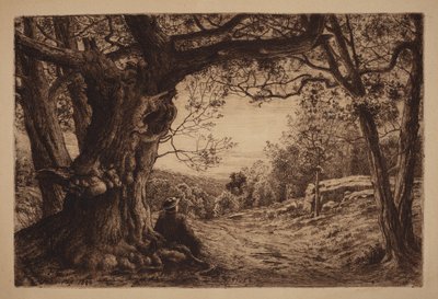 Sur le flanc de la colline - Henry Farrer