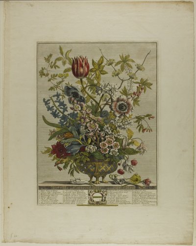 Février, des Douze Mois de Fleurs - Henry Fletcher