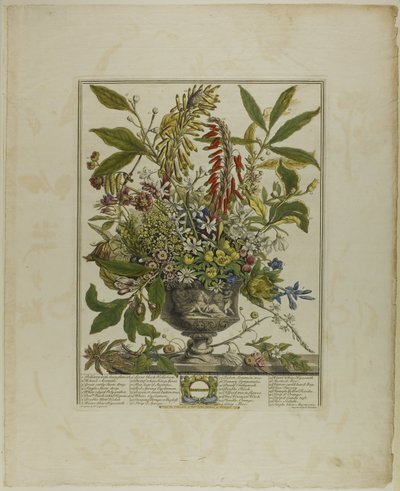 Janvier, des Douze Mois de Fleurs - Henry Fletcher