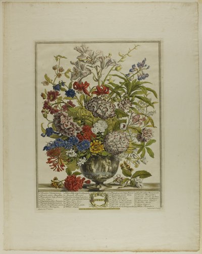 Juillet, des Douze Mois de Fleurs - Henry Fletcher