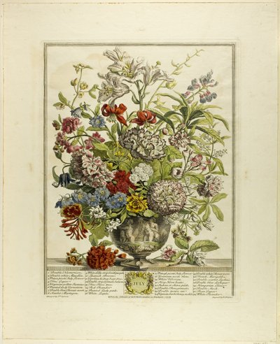 Juillet, tiré de Douze mois de fleurs - Henry Fletcher