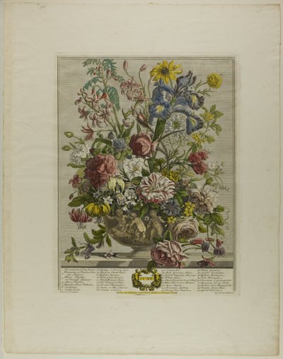 Juin, des Douze Mois de Fleurs - Henry Fletcher