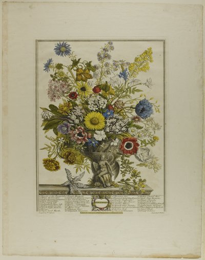 Novembre, de Douze mois de fleurs - Henry Fletcher