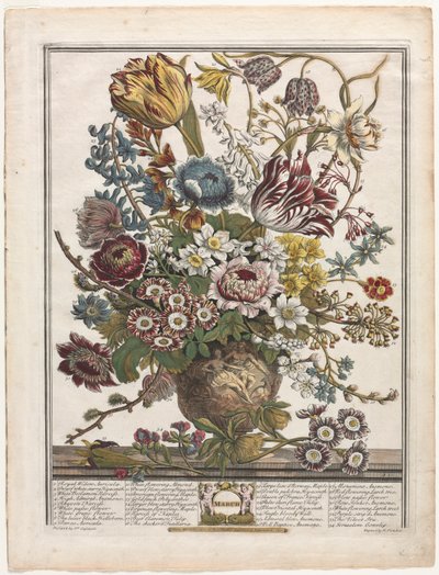 Douze mois de fleurs : Mars - Henry Fletcher