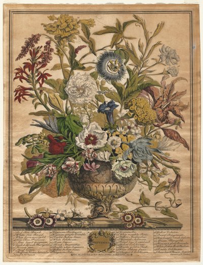Douze mois de fleurs : Septembre - Henry Fletcher