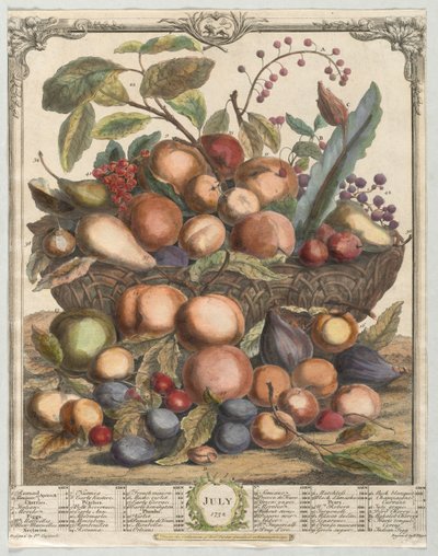 Douze mois de fruits : Juillet, 1732 - Henry Fletcher