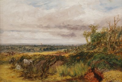 Paysage - Henry Harris Lines