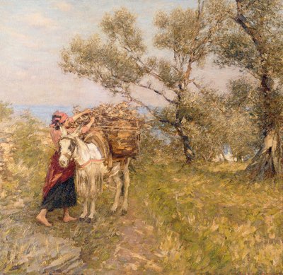 Olives liguriennes - Henry Herbert La Thangue