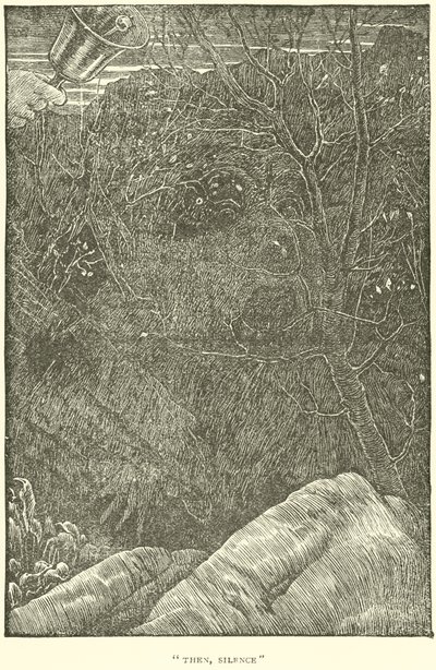 La Chasse au Snark - Henry Holiday