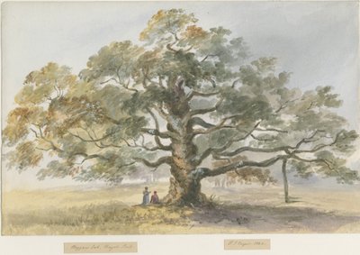 Blithfield - Chêne du mendiant - Henry James Noyes