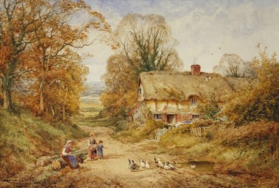 Enfants nourrissant des canards près d