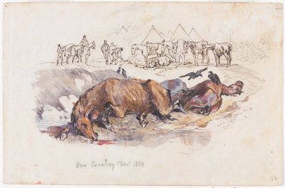 Notre cavalerie, chevaux morts - Henry John Wilkinson
