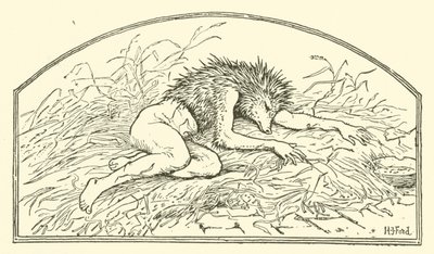 Jack mon Hérisson - Henry Justice Ford