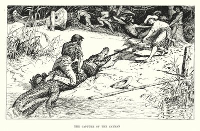 La capture du caïman - Henry Justice Ford
